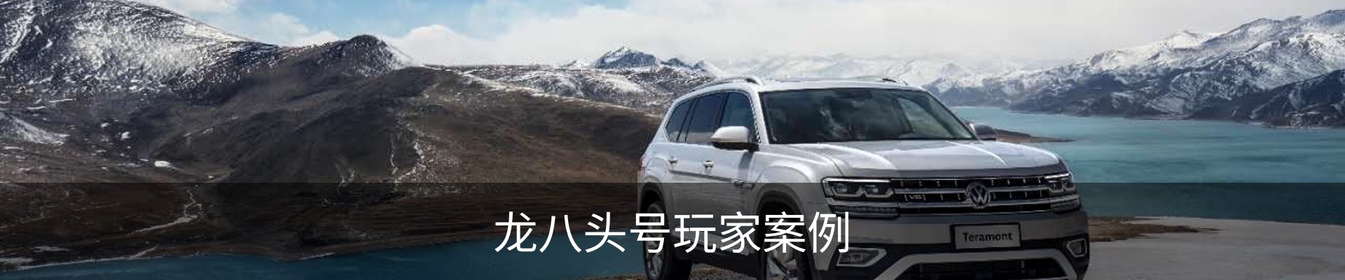 龙八头号玩家案例